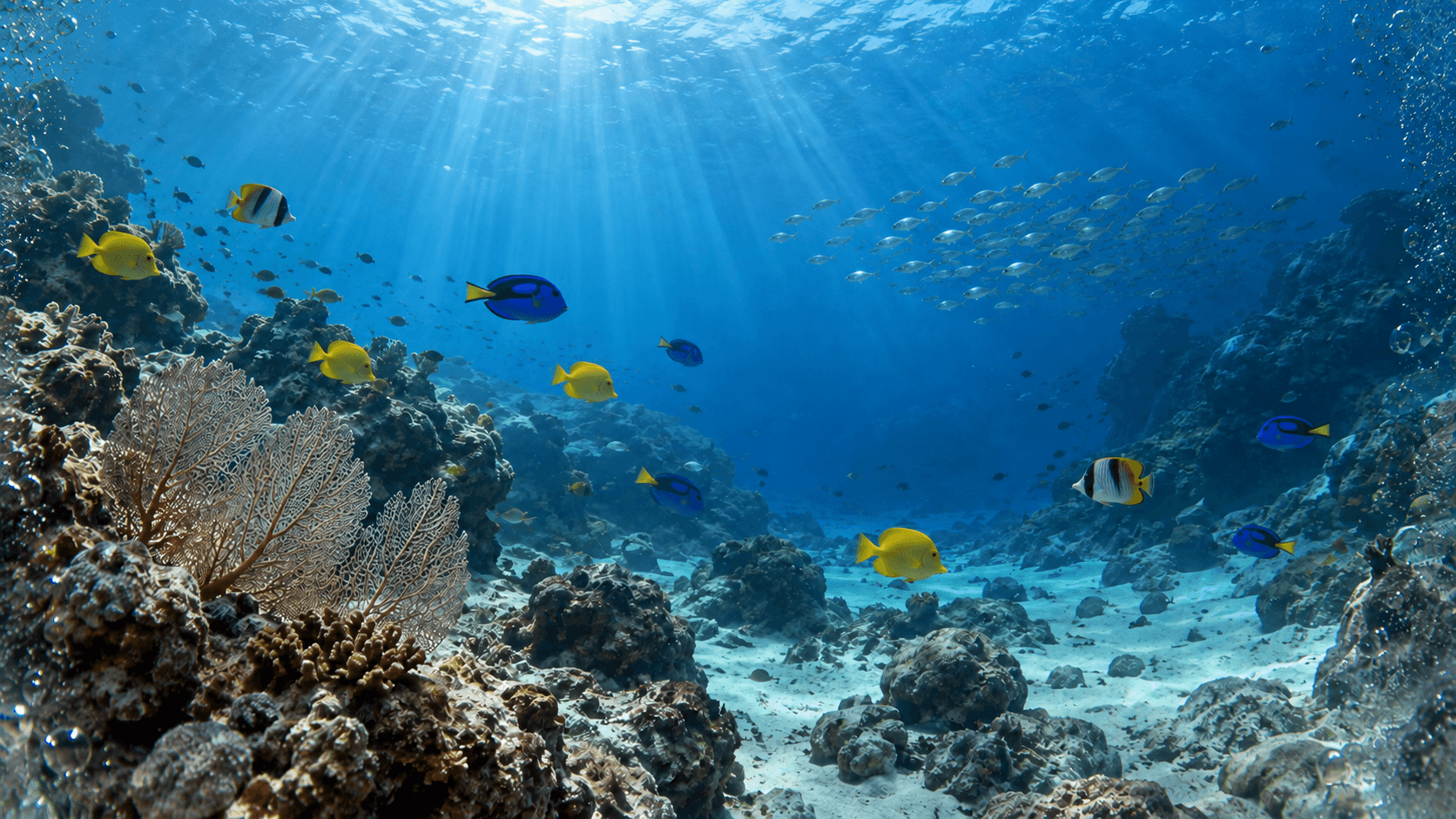 Arrecife de coral con peces tropicales bajo la luz del sol